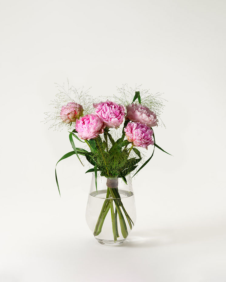 Rosa pioner och siergras